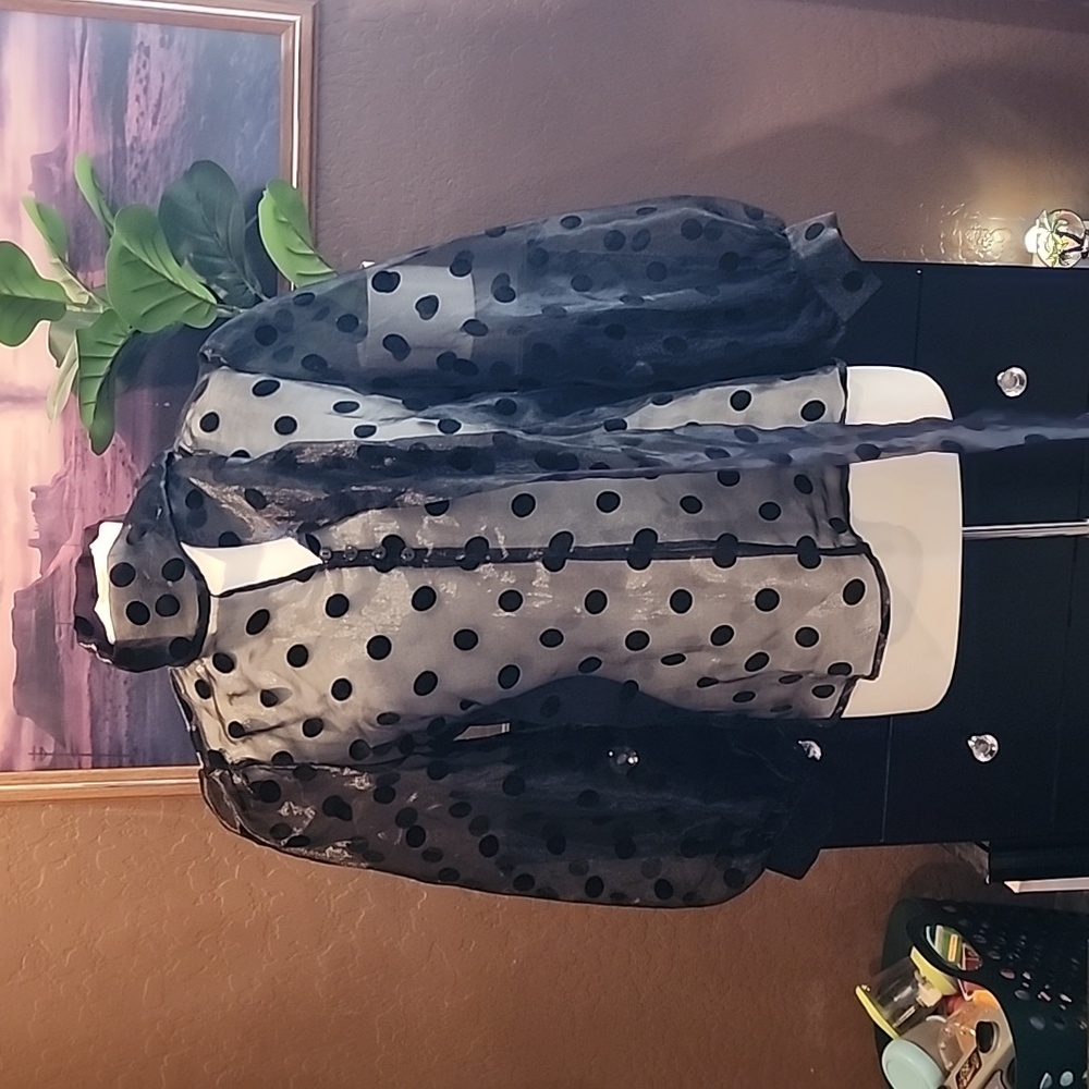 Love X Design Polkadot button up blouse. - Picture 3 of 6